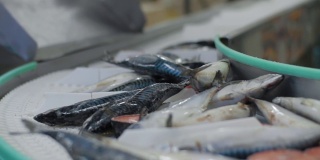 生鱼厂、养鱼场厂、冷冻鱼厂、食品厂、在厂加工鱼。运输机构是对鱼类进行重新定位加工。鱼厂。