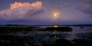 月亮升起在斯里兰卡南部沿海湿地