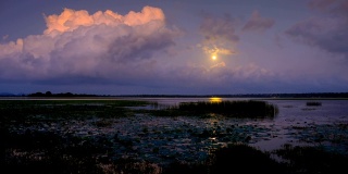 月亮升起在斯里兰卡南部沿海湿地