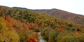 秋天的蓝岭公园大道