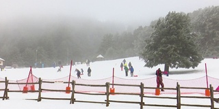 当开始下雪的时候，人们喜欢在雪地里散步和拉雪橇