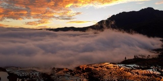 令人惊异的晨雾时间的流逝，在中国鸳鸯的梯田里