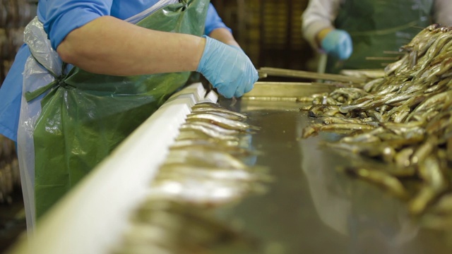 海鲜工厂的鱼保存生产