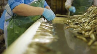 海鲜工厂的鱼保存生产视频素材模板下载