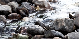 靠近一条小溪，有干净的冷水和灰色的石头。行动。透明的冷水流过风景如画的湿岩石