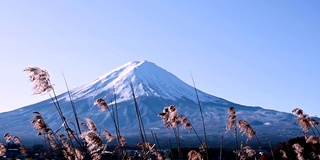 蓝天下的冬季富士山景观