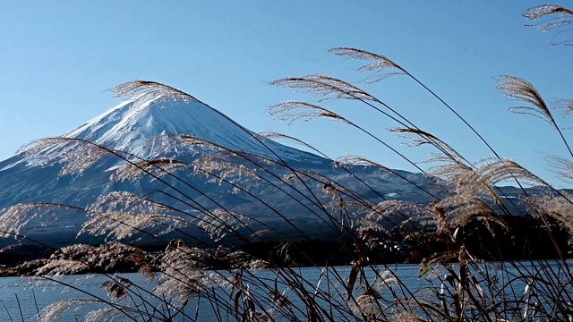 蓝天下的冬季富士山景观