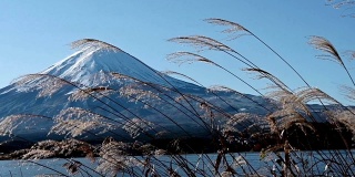 蓝天下的冬季富士山景观