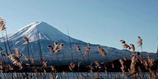 蓝天下的冬季富士山景观