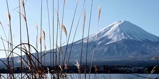 蓝天下的冬季富士山景观