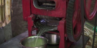 印度工人生产乳胶液，压榨植物茎站在户外