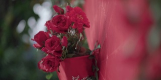 红色玫瑰和红色花卉背景，情人主题，情人浪漫时刻，婚礼当天，幸福快乐，祝福，绿叶，森林树，在关系，约会约会，二月