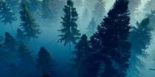 飞过晨雾弥漫的松林