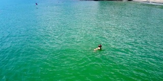 女人在蔚蓝的海洋中游泳到绿色的海滩