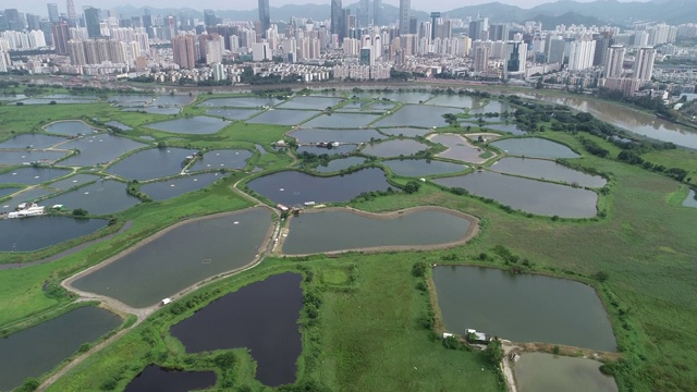 在香港和中国深圳之间的乡村绿地和鱼塘