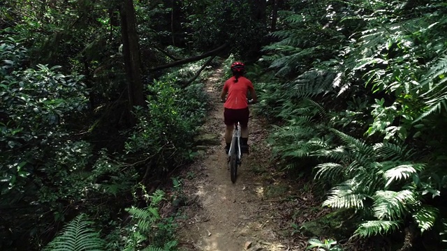 女自行车手在热带森林中越野自行车