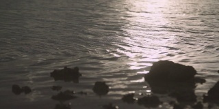 阳光照耀下的水面在岸边荡起阵阵涟漪。