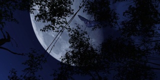 飞行的大美国角猫头鹰在令人毛骨悚然的夜晚与满月在天空的3D动画剪辑