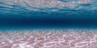 水下的观点在浅热带泻湖与沙子和蓝色的海