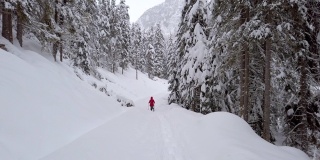 在高山冬季森林里穿雪鞋的单身女人