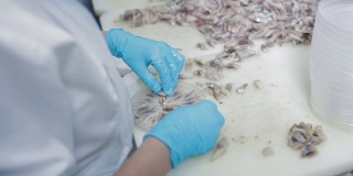 女工戴上防护手套，将鱼蜜饯倒入一个塑料瓶中。鱼在工厂保存生产，在塑料容器中分拣鱼片