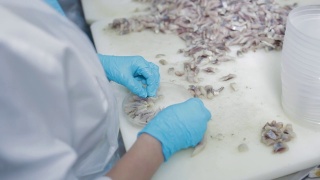 女工戴上防护手套将鱼蜜饯倒入塑料瓶中。在海产工厂，鱼类在塑料容器中分拣鱼片，以维持生产。罐装食品，切好的鱼内脏视频素材模板下载