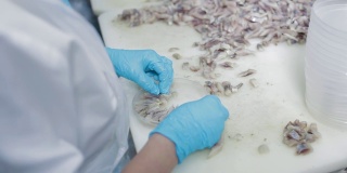 女工戴上防护手套将鱼蜜饯倒入塑料瓶中。在海产工厂，鱼类在塑料容器中分拣鱼片，以维持生产。罐装食品，切好的鱼内脏