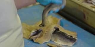工人正在清理新鲜的海鱼并将其切成片。背切鱼骨并分离鱼片，去除内脏。