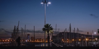 巴塞罗那奥运会的港口