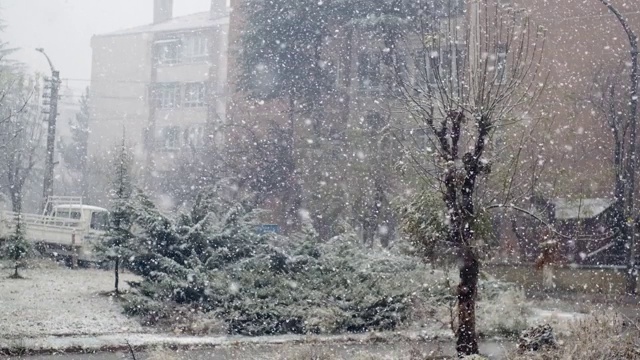 透过窗户看到白天的大雪