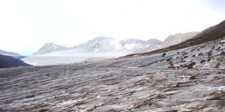 高加索冰川-从山口看