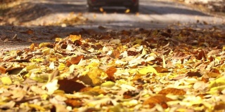 五彩缤纷的秋叶后面一辆汽车飞驰而过
