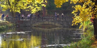 秋天公园的桥