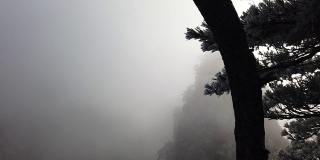雾在山顶黄山或黄山与霜松，黄山，中国