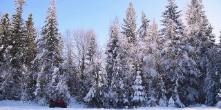 越野公路骑ATV山森林雪。森林里的极端寒假。