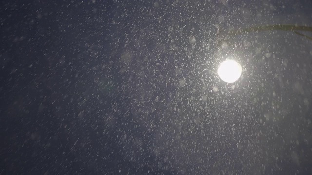 在黑暗的天空下着雪