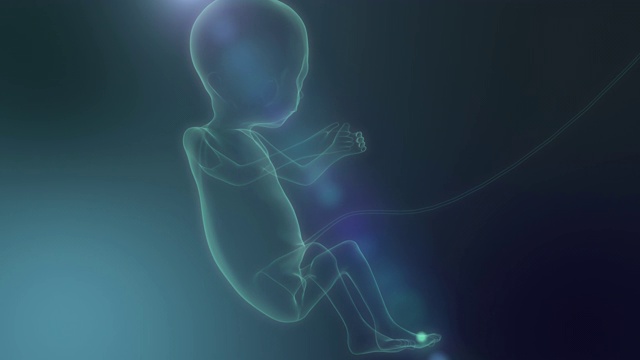 《新生小婴儿》在X射线上，未来概念，3D动画。4 k