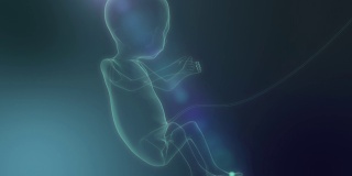 《新生小婴儿》在X射线上，未来概念，3D动画。4 k