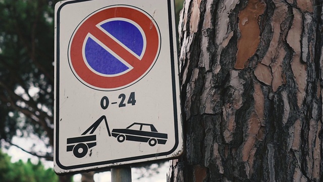 路标。交通标志车辆禁止停车。