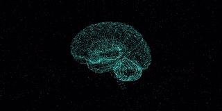 关于大脑功能和活动的概念。大脑全息图漂浮在太空中，大脑的每个部分都有自己的功能。