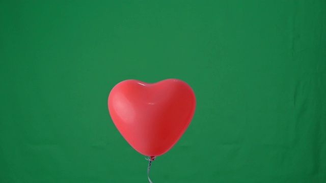 红色心形氦气球孤立在绿色屏幕背景上，情人节，生日派对设计概念，4K，工作室拍摄，慢动作。