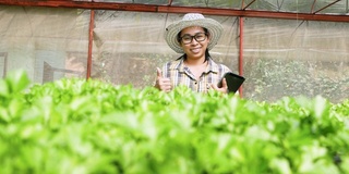 亚洲年轻女性农民在温室有机蔬菜沙拉中使用药片。农民使用平板电脑在农业领域工作。