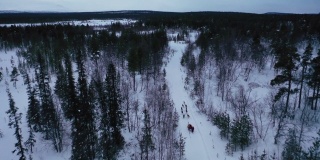 鸟瞰图的狗拉雪橇在深雪林在冬季
