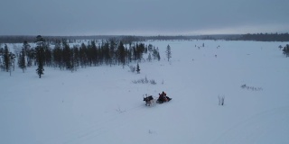 冬季驯鹿在深雪林里拉雪橇的跟踪镜头