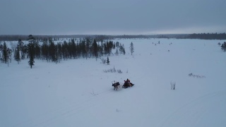 冬季驯鹿在深雪林里拉雪橇的跟踪镜头视频素材模板下载
