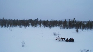 People sitting with reindeer sledding on deep snow视频素材模板下载
