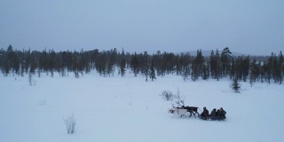 People sitting with reindeer sledding on deep snow