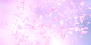 粉色玫瑰花瓣爆炸背景在4K