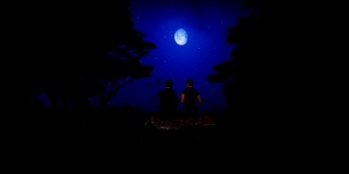 一对情侣坐在森林里的岩石上，满月星空下，4K