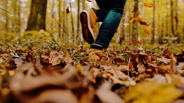 在田园诗般的森林里，女人在秋叶中奔跑